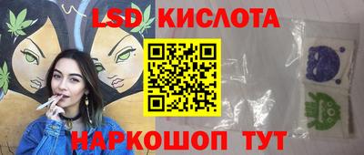 индика Лесосибирск