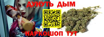 индика Лесосибирск