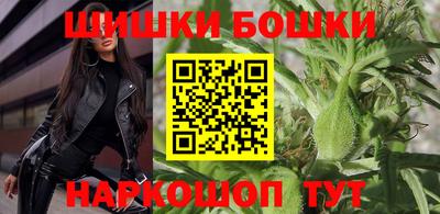 индика Лесосибирск